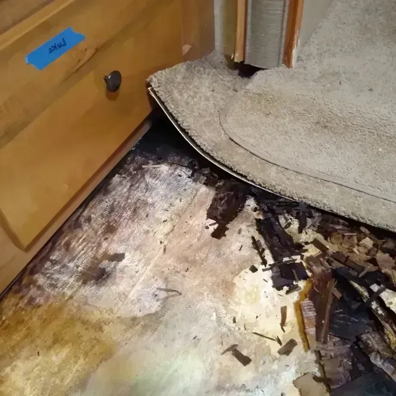 Wood Floor Water Damage in Carlyss, LA